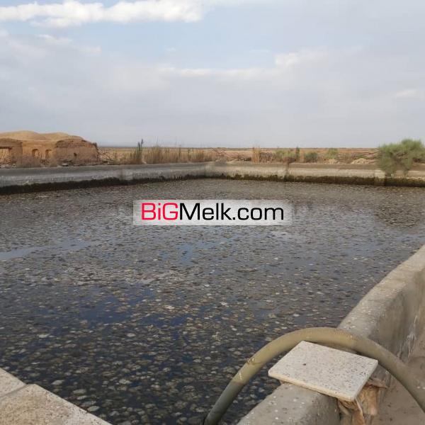 فروش 87 هکتار مزرعه در اصفهان