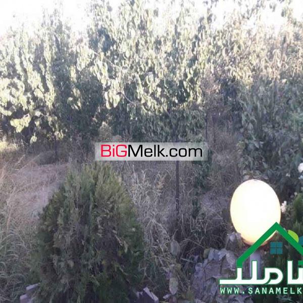 باغچه ویلای 500متر با سندتکبرگ در ملارد شناسه ملک 1201