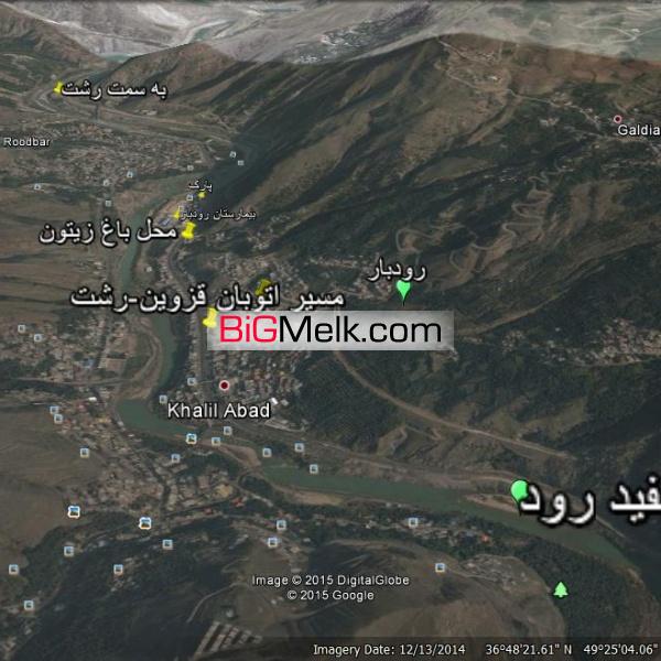 1370 متر باغ زیتون بر اتوبان قزوین رشت