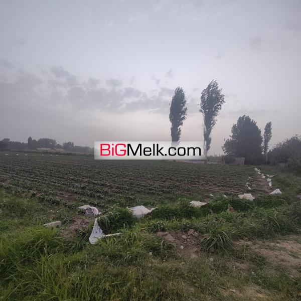 زمین کشاورز هشتگرد روستای ایقربلاغ