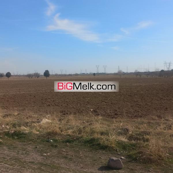زمین 3750 متری زراعی در قزوین