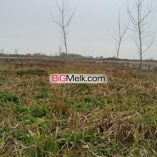 ۱۲۰۰ متر آماده ی تغییر کاربری