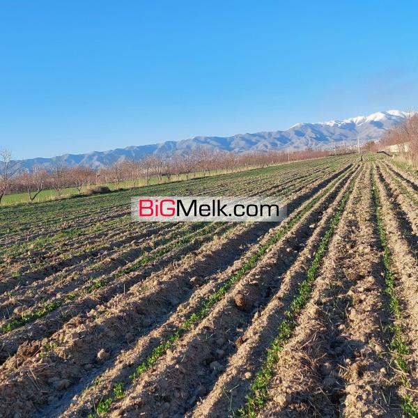 زمین کشاورزی با آب و امکانات کافی