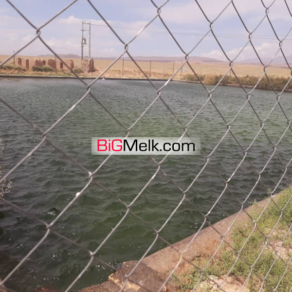 زمین کشاورزی، باغ پسته، زمین