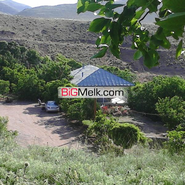مزرعه فروشی 22هکتار