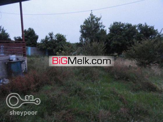 باغ 25000 متری | آمل، مجاورت جنگل