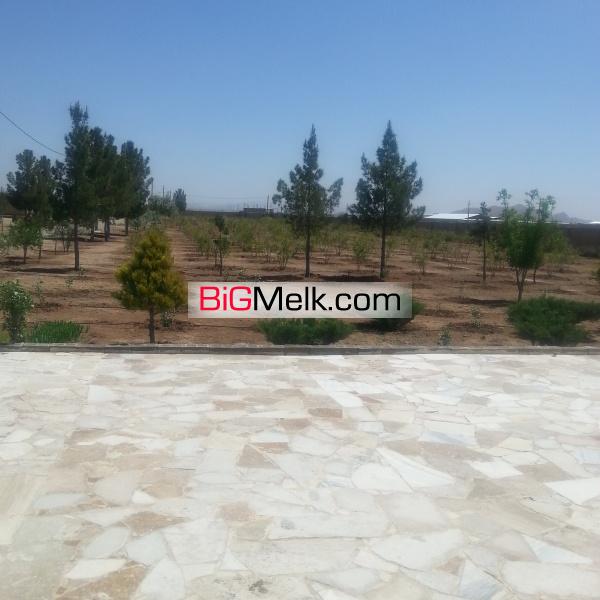 فروش مرغداری 50 هزار قطعه ای گوشتی فعال در حال کار اصفهان