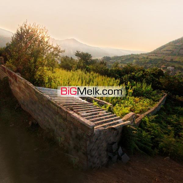 باغچه به مساحت 250 متر مربع در استان مازندران
