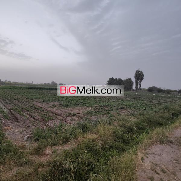 زمین کشاورز هشتگرد روستای ایقربلاغ