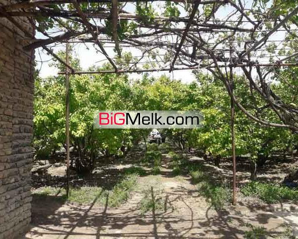 فروش 13000متر باغ با بنای قدیمی در ملارد کد1315