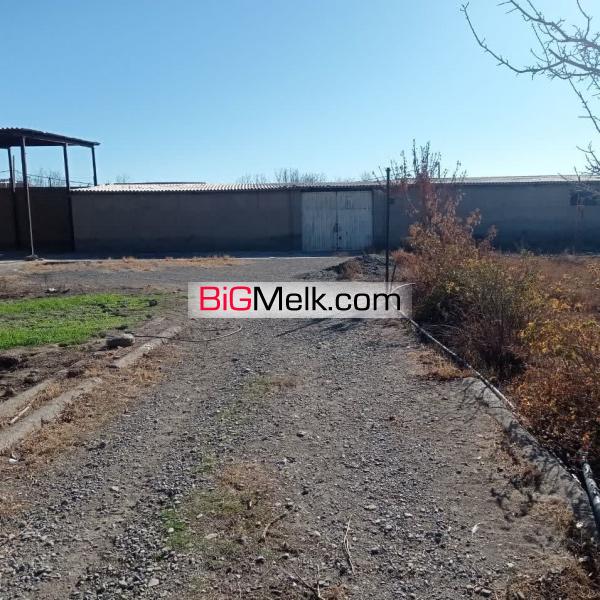 فروش زمین با قابلیت دامداری
