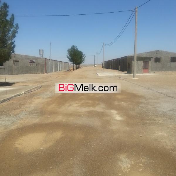 فروش مرغداری 50 هزار قطعه ای گوشتی فعال در حال کار اصفهان