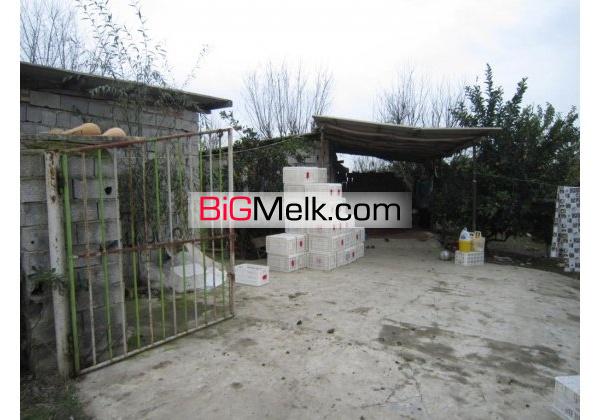 باغ مرکبات وسیاه ریشه12ساله26000متر با سندامل | مازندران، آمل
