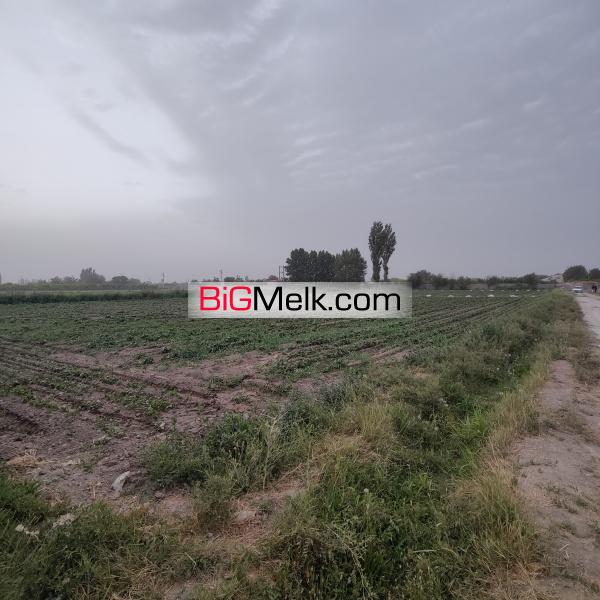 زمین کشاورز هشتگرد روستای ایقربلاغ