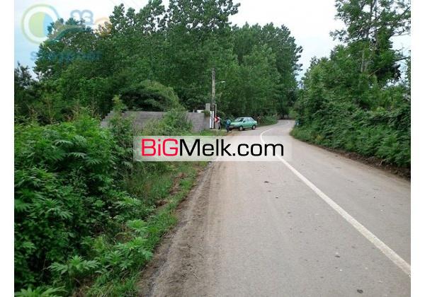 فروش زمین 600 متری در طاهر گوراب برای ساخت ویلا