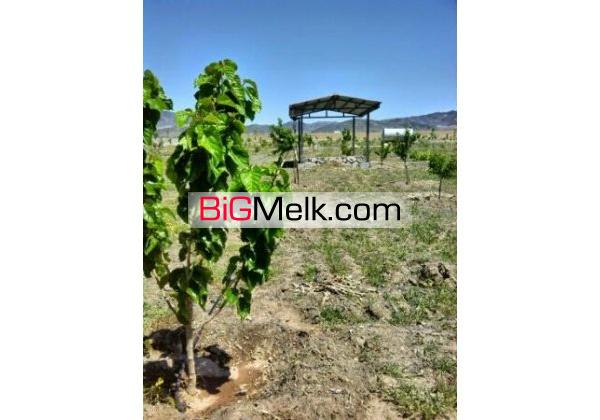 فروش یا معاوضه باغ با قیمت فوق العاده7000متری