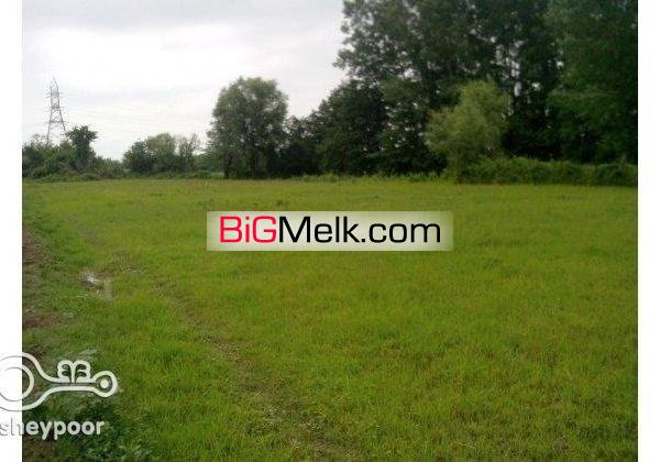 مزایده زمین زراعی13000متروخانه محوطه(خشکی)3600متر | ماسال، شاندرمن روستای سرسبز دلیجان
