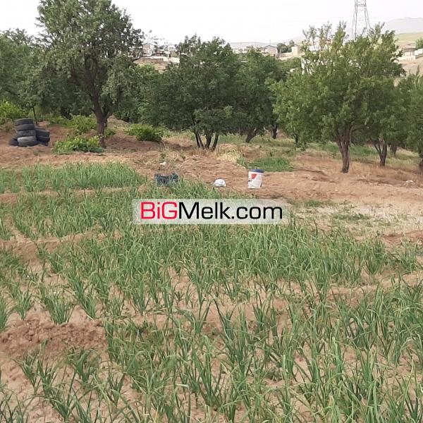 زمین کشاورزی ، ۸ هزار متر