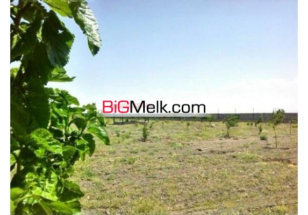 فروش یا معاوضه باغ با قیمت فوق العاده7000متری