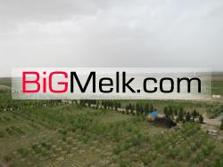 فروش 85قطعه باغچه هزارمتری بصورت یکجا