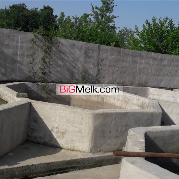 استخر پرورش ماهی سردآبی