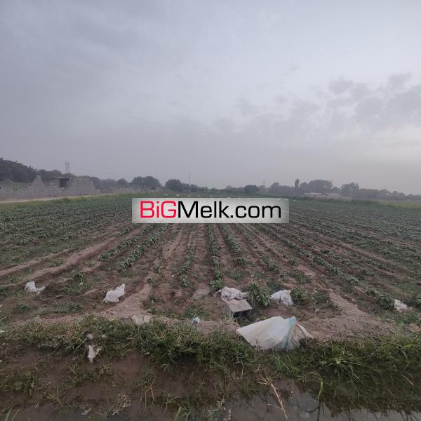 زمین کشاورز هشتگرد روستای ایقربلاغ
