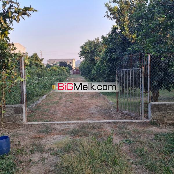 خانه باغ ۱ هکتاری سرمایه گذاری عالی