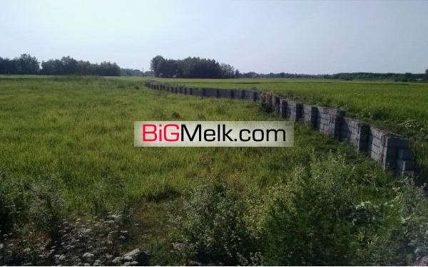 زمین 752 متری حومه لاهیجان | لاهیجان، بیربنه