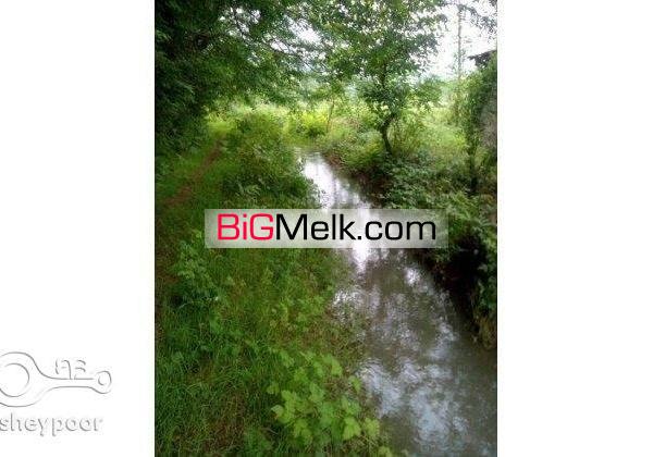 مزایده زمین زراعی13000متروخانه محوطه(خشکی)3600متر | ماسال، شاندرمن روستای سرسبز دلیجان