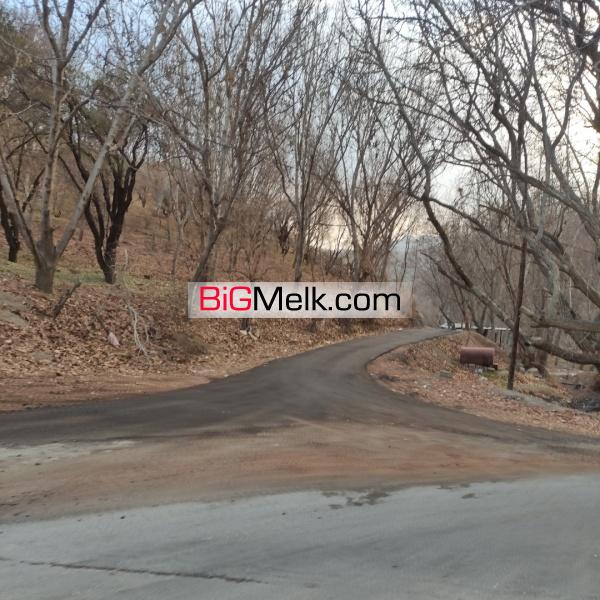 زیمن (باغ) کنار رودخانه زاینده رود