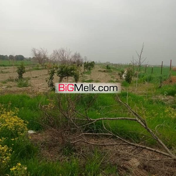 5000 باغ ویلا در گرگان مناسب سرمایه گذاری