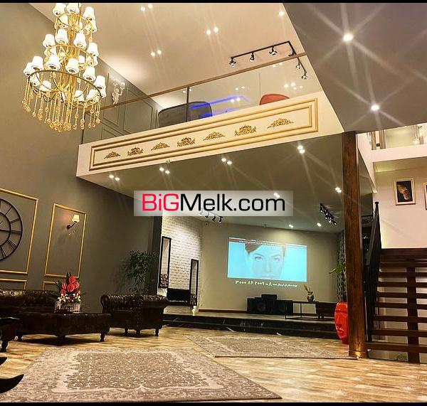 کاخ ویلا رودهن