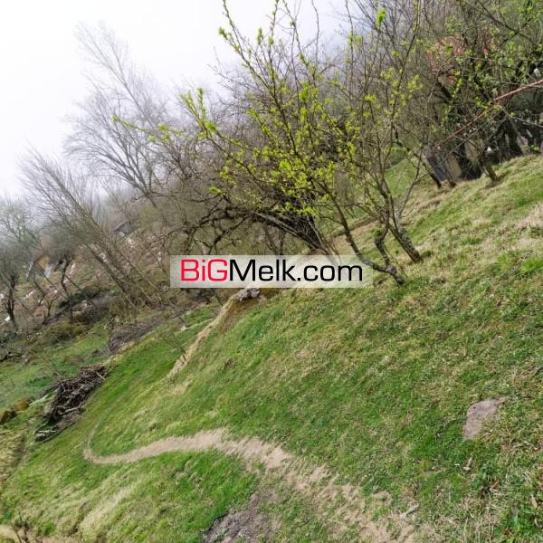 4500متر باغ و ویلا خطبه سرا