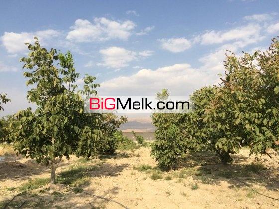 8000 متر كارخانه برنجكوبي تمام اتوماتيك | شیراز، ارتش