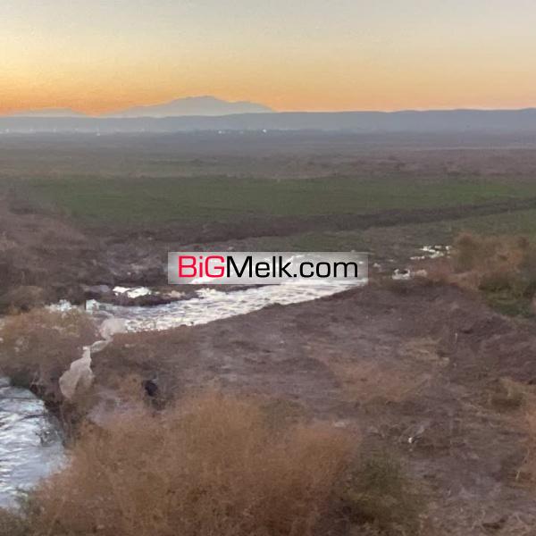 باغ و زمین کشاورزی