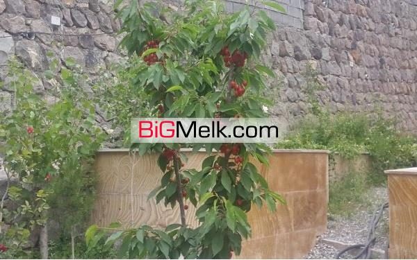 باغ ویلا بادیدعالی هوای پاک تهرانی نشین
