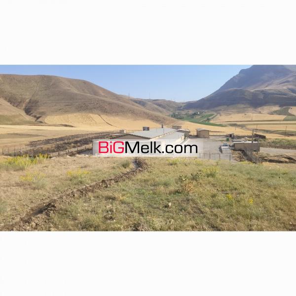 فروش کشتارگاه صنعتی مرغ