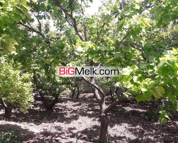 فروش 13000متر باغ با بنای قدیمی در ملارد کد1315