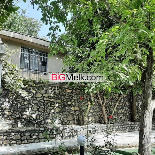 باغ رویایی در تهران