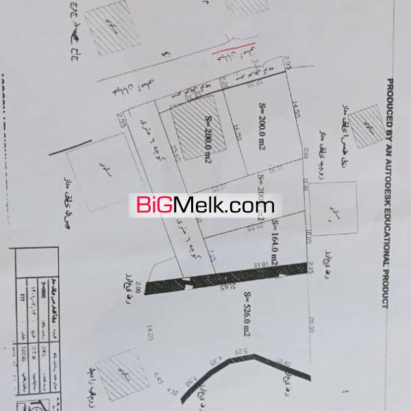 فاطمه یوسف پور کامی