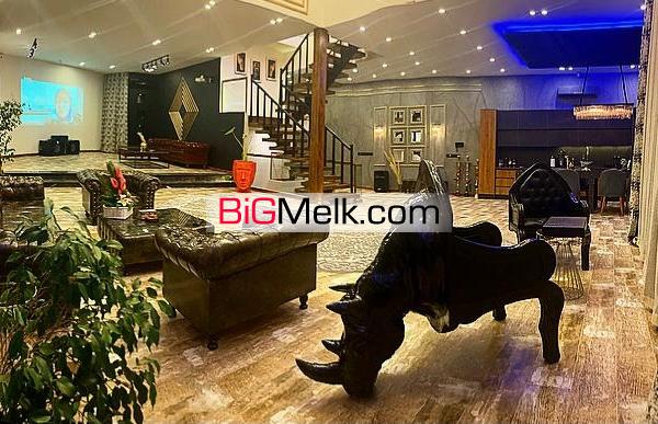 کاخ ویلا رودهن