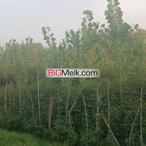 فروش زمین به متراژ ۲۶۹ متر