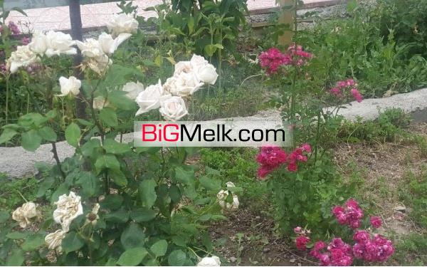 باغ ویلا بادیدعالی هوای پاک تهرانی نشین