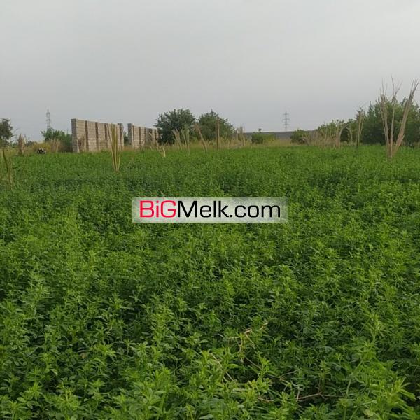 باغچه ۱۱۴۰متری درختان پر ثمر