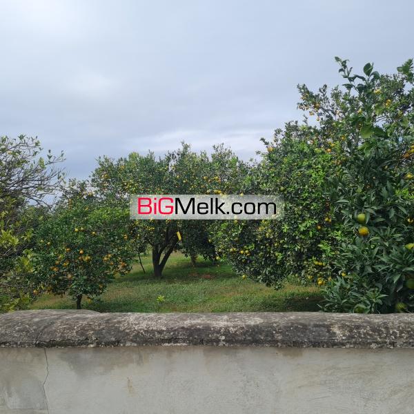 خانه باغ ۱ هکتاری سرمایه گذاری عالی