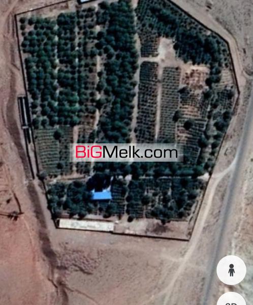 فروش ویژه باغ