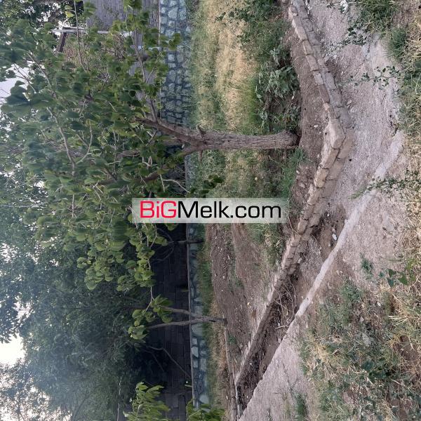 باغ ویلا ١٠٠٠ متری
