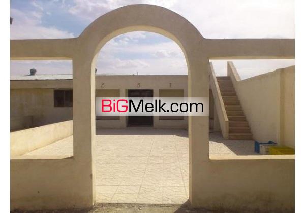 مزرعه تولید شتر مرغ 8500متر-قم- فروش