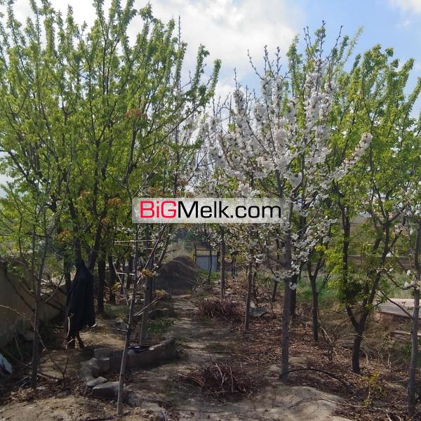 فروش باغچه طرقبه مشهد