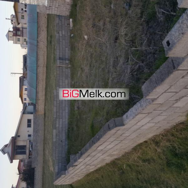 فروش زمین ۲۳۰متری در شمال آمل